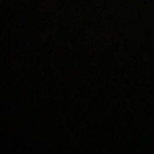 Meet your Posher, Stebbins family